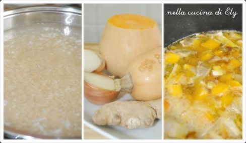 [Scaglie di Zenzero] - Crema di zucca allo zenzero con riso integrale