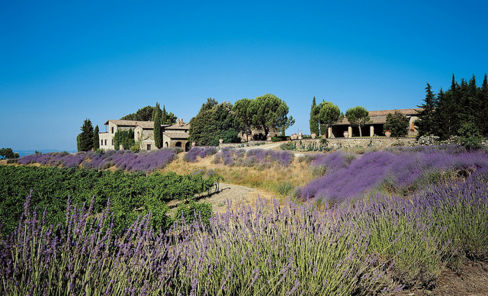 Una collaborazione con Villa Poggio Salvi di Montalcino. Produttori di vini di pregio.