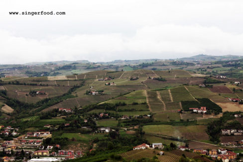 #LangheRoero2012 : Dolcetto o Scherzetto?