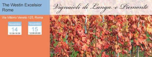 Vignaioli di Langa e Piemonte 2015, Roma