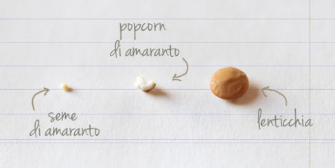 Popcorn lillipuziani, ovvero popcorn di amaranto!