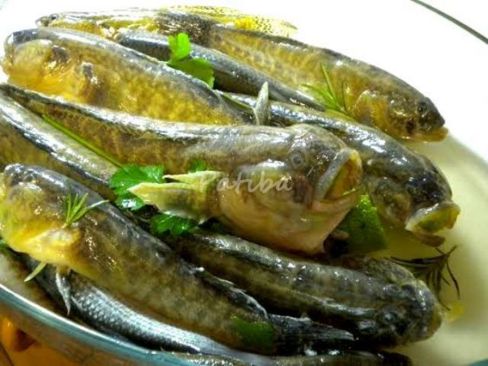 Dalla laguna di Venezia ecco il Go per un Risotto di pesce dal gusto delicato!