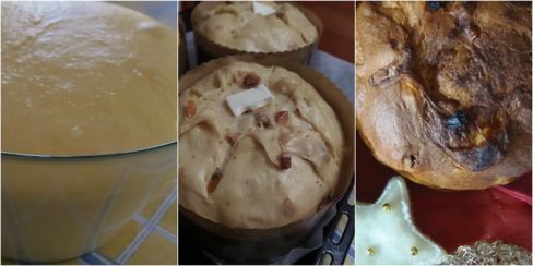 Panettone di Natale ai fichi ,ricetta classica