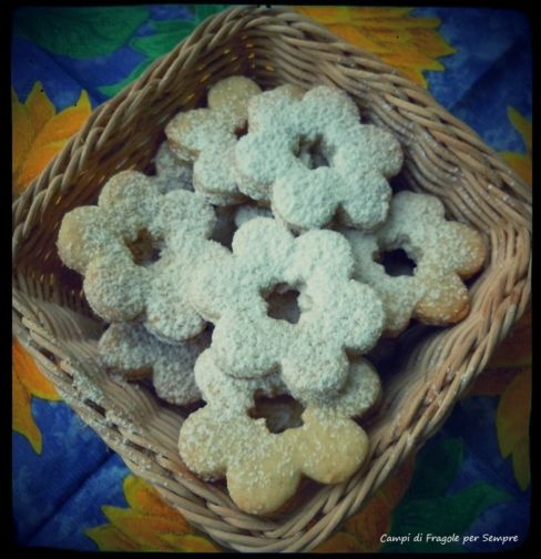 Biscotti Canestrelli