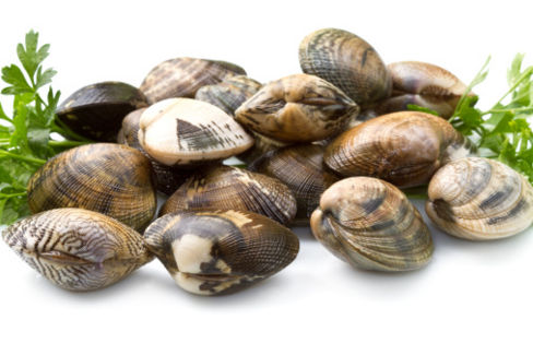 Fusilli con cavolfiore e vongole di Alessandro Borghese