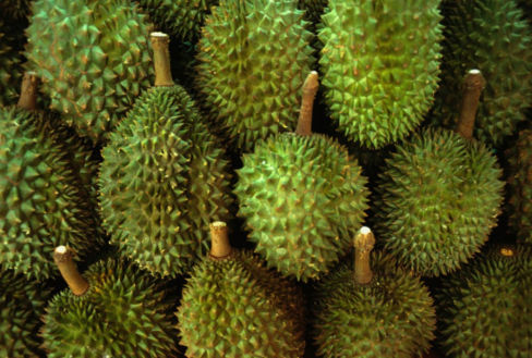 Il Durian, il Re dei Frutti: odore ripugnante, polpa eccezionale