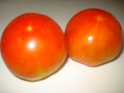 Tomato cocktail