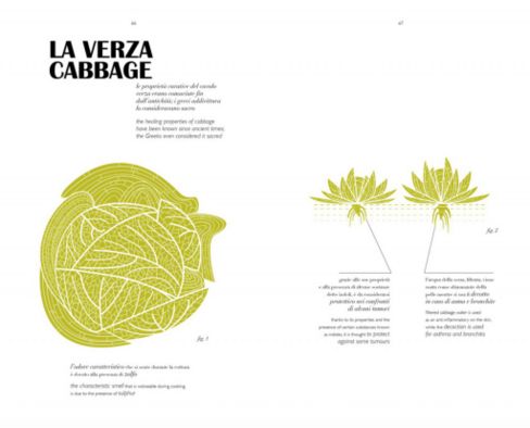Ecolibri: Herbarium Taste di Valentina Raffaelli