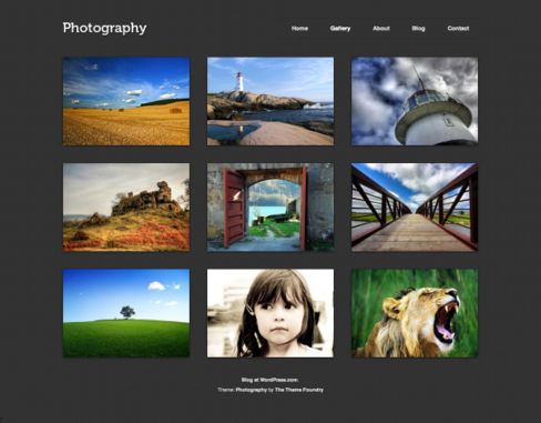 New Themes: Photography, Brand New Day, and Bouquet