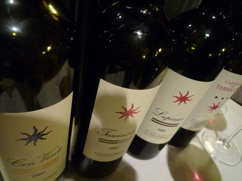 Terroir Castellina Marittima: ma il Lupicaia è un vino di territorio o un esercizio stilistico?