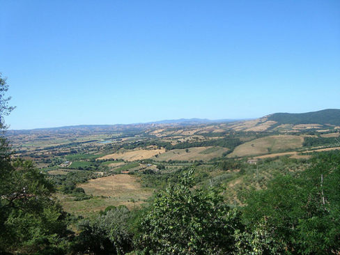 Prepariamoci alle feste con il Montecucco, la Maremma dei cinghiali, delle mucche Maremmane e i vini di PieveVecchia! Mercoledi 30 a cena da Burde