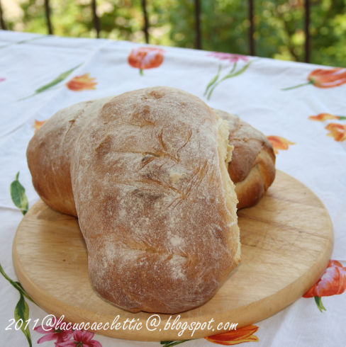 Pane e tulipani....