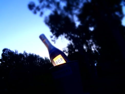 Un bel dì vedremo… Champagne Pommery e Festival Pucciniano, la Butterfly a Torre del Lago