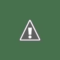 3 bavaresi al cioccolato per festeggiare il Natale.