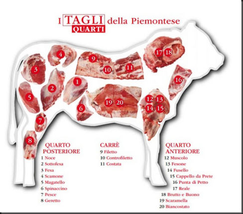 Conoscere la carne bovina, tagli, usi in cucina e caratteristiche