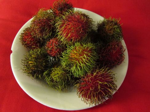 Rambutan