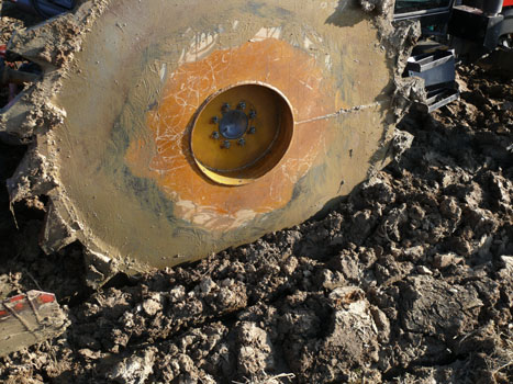 Il simbolo di questi giorni di inizio primavera nelle nostre risaie.