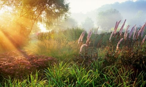 Le più belle foto di alberi, fiori e giardini del 2010