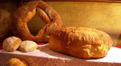 I cereali e i loro derivati / 2