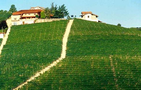 Il Piemonte sbarca a Firenze per Rosso d’Autunno 21 Settembre: Albino Rocca e il Barbaresco