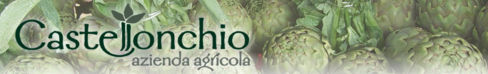 Toscana: Azienda Agricola Castellonchio al Mercatale di San Miniato (PI)