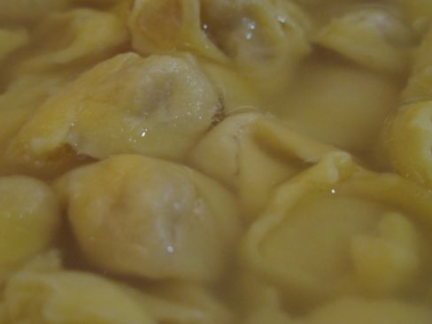 Il Sabato del Villaggio | Milioni di mosche non possono sbagliare