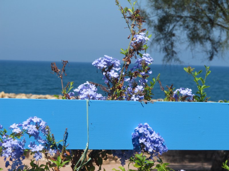 Ittiturismo Nonna Grazia, Porto Torres SS [5.0]