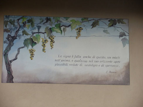 La frase della settimana