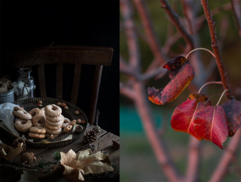 Ciambelline al farro, nocciole e vino