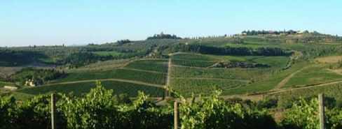 La cultura del vino dal Castello di Poppiano alla Maremma, il Conte Ferdinando Guicciardini a Fiesole il 22 Giugno per God Save The Wine