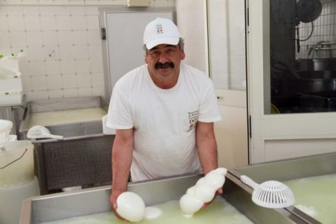 Salerno batte Caserta nella classifica della migliore mozzarella di bufala