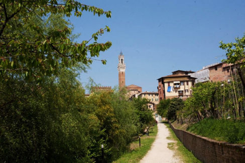 20 posti per mangiare, bere, comprare e divertirsi a Siena