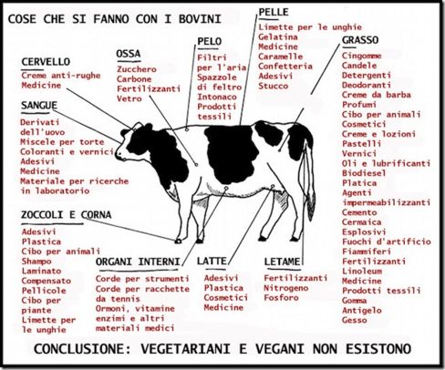 Vegetariani (e vegani) non esistono