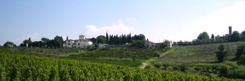 La Fattoria di un tempo e la cultura del Biologico a Fiesole il 22 Giugno con Fattoria San Michele a Torri