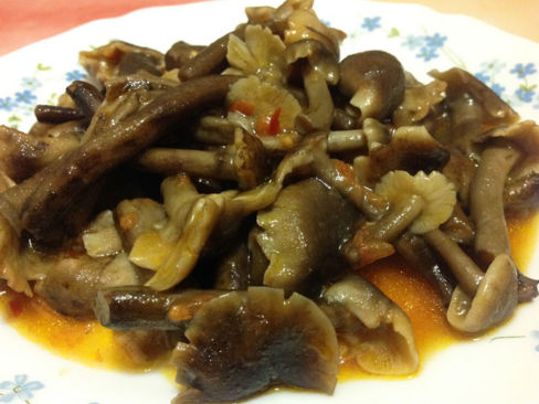 FUNGHI CHIODINI IN UMIDO