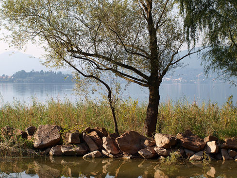 I laghi del nord e le loro specialità: Varese