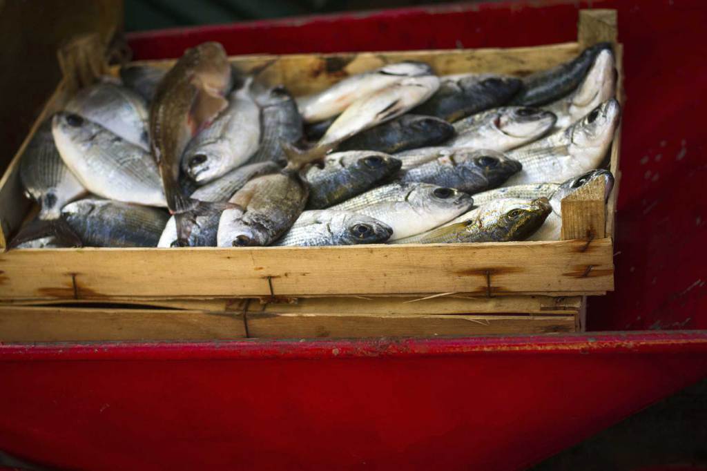 I trucchi per riconoscere il pesce d’allevamento