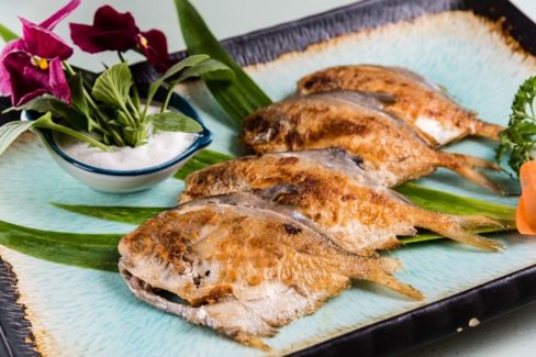 Pesce Povero di Giugno: le specie meno note da mettere nel carrello