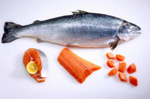 Il salmone fa male? Caratteristiche, allevamento e salubrità