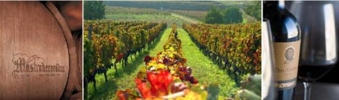 Aglianico contro | Basilicata batte Campania 1 a 0
