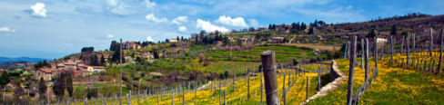 Chianti classico | Lamole è un vezzo della storia