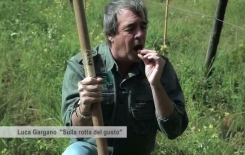 In questo video Luca Gargano mangia la terra biodinamica. E non è mica una battuta