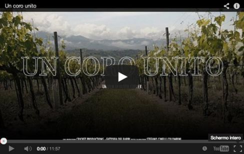 Un coro unito. In un video la gloriosa storia di Montalcino e del suo Brunello