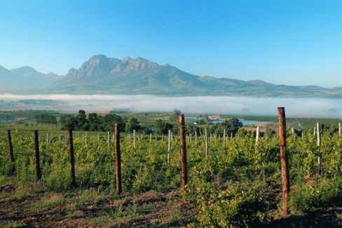 Appuntamenti Estivi alternativi, nel Montecucco (GR) ecco il cartellone di Pievevecchia: Stabile, Bistarelli, Parini…e anche un certo sommelier
