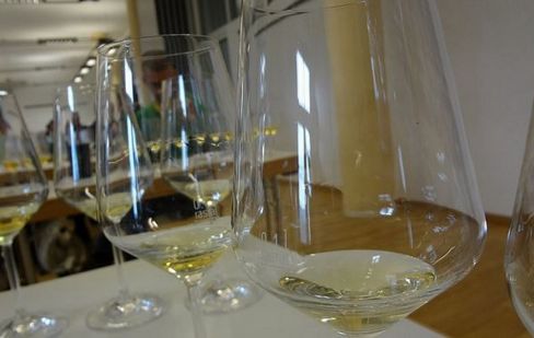 Scopriamo una nuova dimensione dell’odiato Gewürztraminer: quella verticale