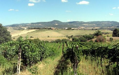 Due Chianti Classico e un Montecucco. Il sangiovese in Toscana, tanto per cambiare