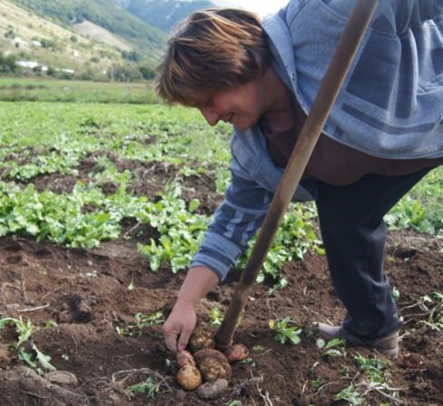 La patata di Letino, una specialità da non perdere con la ricetta della memoria: patata ammaccata