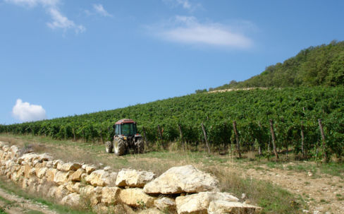 Monteraponi e il vero Chianti Classico di Michele Braganti da Burde venerdì 16 settembre, verticale Campitello 2003-2008 con anatra ai fichi!