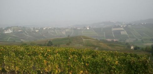 La cantina di Villa Giada