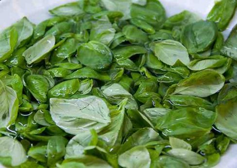 Fare il pesto è come fare l’amore, o quasi…